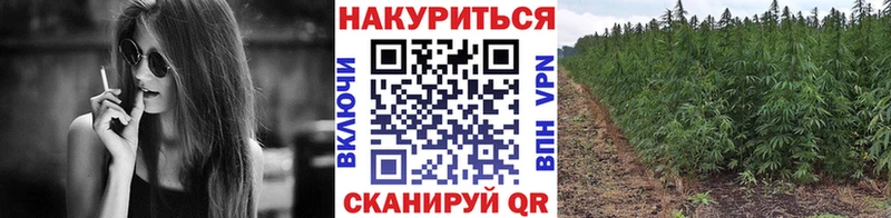Альфа ПВП Цивильск