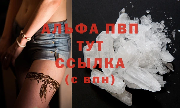 спиды Зеленокумск
