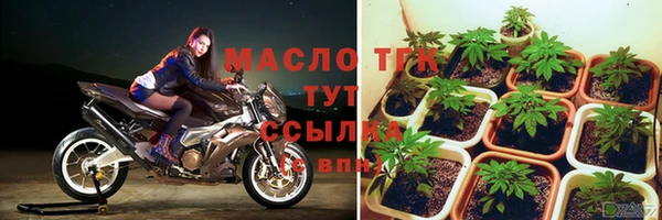 мяу мяу мука Иннополис